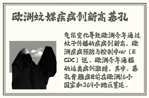台岛娱乐av在线