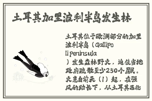 免费可以看污的完整视频网